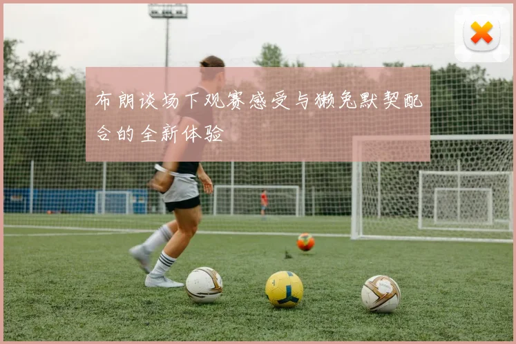 布朗谈场下观赛感受与獭兔默契配合的全新体验