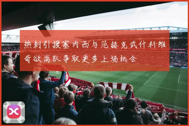 热刺引援塞内西与范赫克武什科维奇欲离队争取更多上场机会