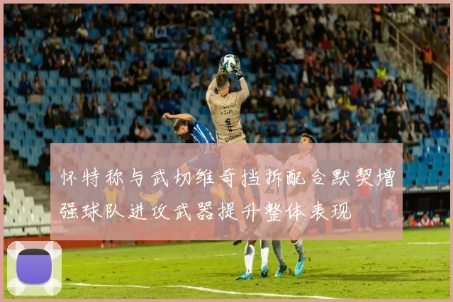 怀特称与武切维奇挡拆配合默契增强球队进攻武器提升整体表现
